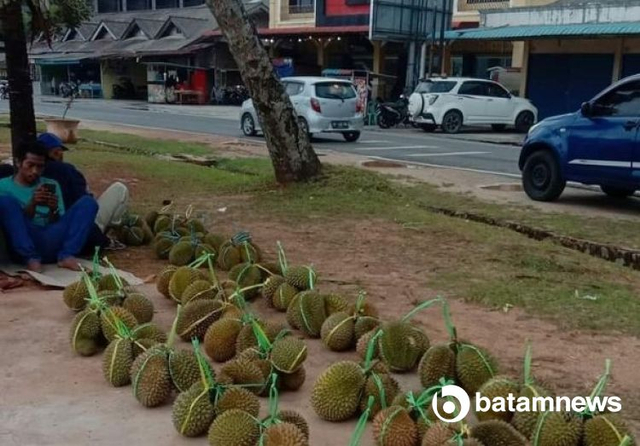 Pedagang durian di Natuna (Foto: Yanto/Batamnews)
