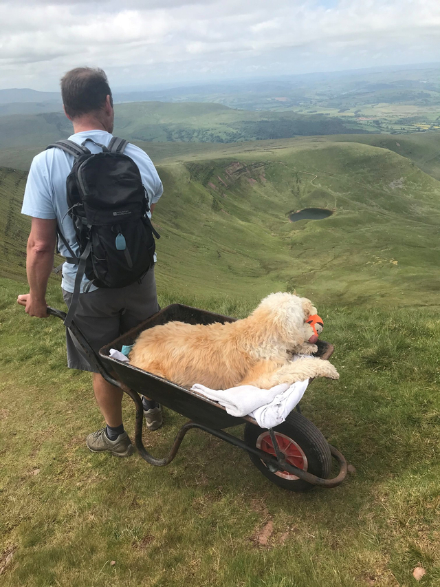 Kisah mengharukan seorang pria di Inggris bernama Carlos Fresco membawa anjing peliharaannya yang menderita kanker ke gunung sebagai perjalanan terakhir mereka. (Foto: Facebook/@The Brecon and Radnor Express)