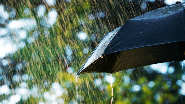 Ilustrasi musim hujan. Foto: Shutter Stock