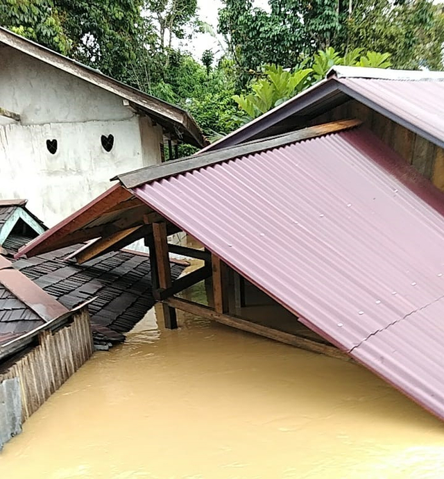 Banjir di Kapuas Hulu: 7 Kecamatan Terendam, 11 Rumah Hanyut (1)