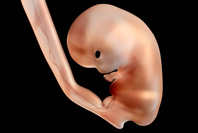Cerita Seorang Bayi Lahir 4 Tahun Setelah Orang Tuanya Meninggal (40912)