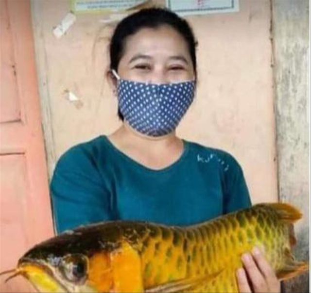 Salah satu Ikan arwana yang dimasak warga di Kabupaten Landak. Foto: Dok Hi!Pontianak