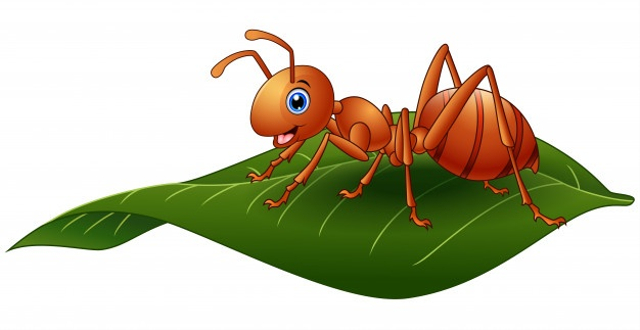 Cerita Fabel Bahasa Inggris "The Ant and The Grasshopper" (87137)