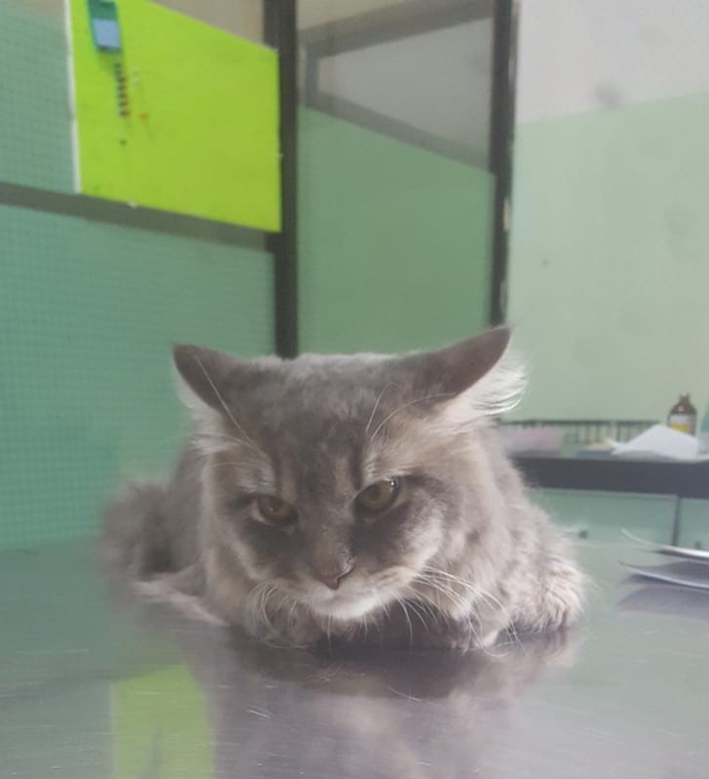Menjaga Dengan Sepenuh Hati (22226)