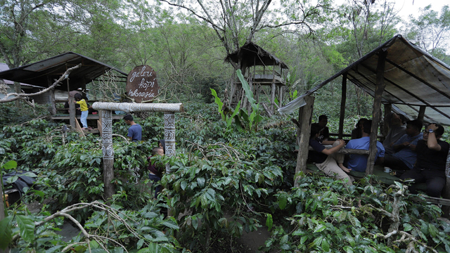 Seladang Kopi di Bener Meriah, salah satu nominasi API Award 2021. Foto: Windy Phagta/acehkini