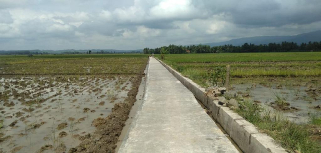 Jalan usaha tani. Foto: Kementan RI