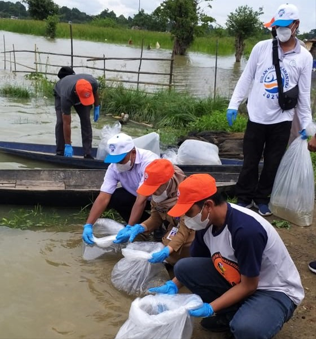 Penebaran benih ikan nilem di Danau Teluk Kenali, Kota Jambi. (Foto: BKIPM Jambi)