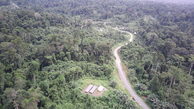 Manfaatkan Tenaga Surya, PLN Kebut Pembangunan Listrik Desa Terpencil di Papua (42945)