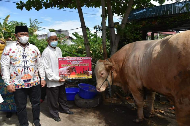 Wakil Gubernur Kalteng Edy Pratowo saat menyerahkan sapi kurban di Kapuas.