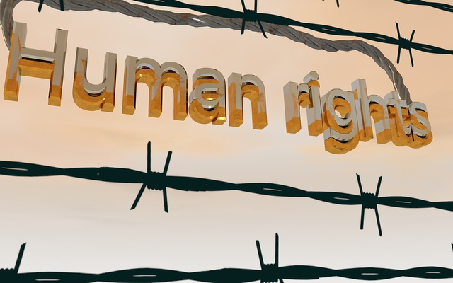 Kasus Pelanggaran Hak Asasi Manusia, Foto: Pixabay 