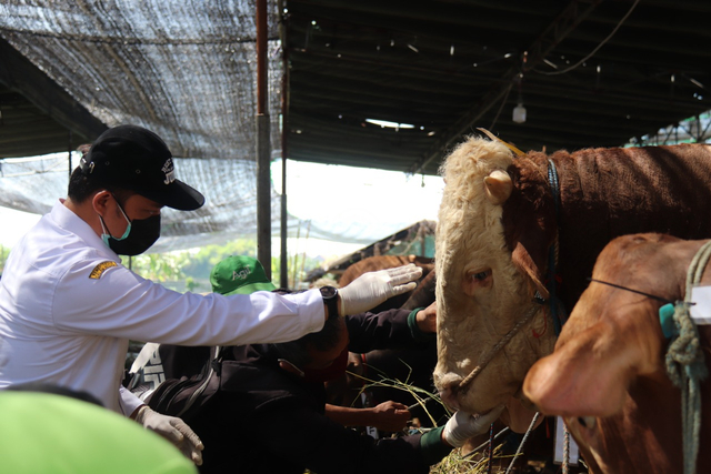 Tim DKPP Kota Surabaya saat berkeliling melakukan pemeriksaan kesehatan hewan di setiap lapak penjualan, Minggu (18/7). Foto-foto: Humas Pemkot Surabaya