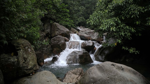 Ilustrasi air terjun. Foto: Shutter Stock