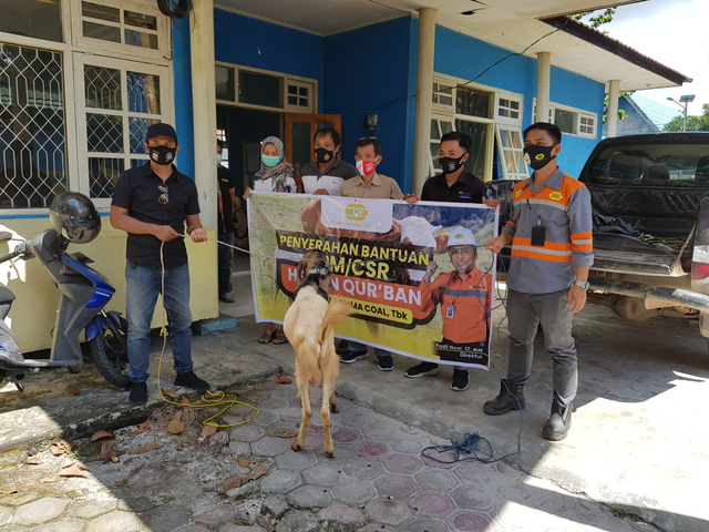 Penyerahan hewan kurban kambing PT KPC kepada PWI Kotawaringin Barat. Joko Hardyono/InfoPBUN