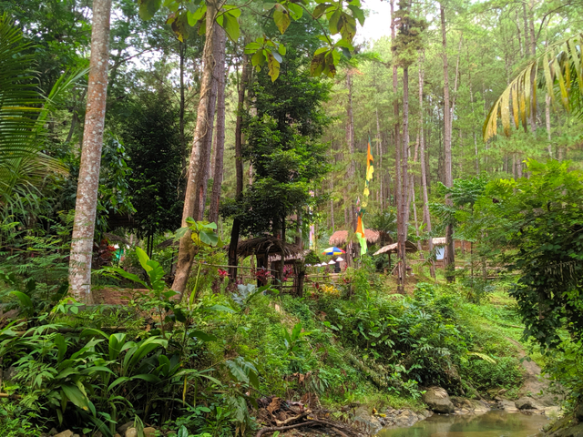 Keindahan Curug Antap di Desa Cikakak, Banyumas (498474)