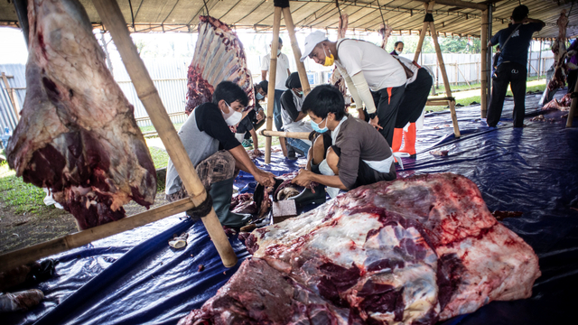 Petugas memotong daging hewan kurban di kawasan Masjid At-Tin, Jakarta, Selasa (20/7/2021). Foto: Aprilio Akbar/ANTARA FOTO
