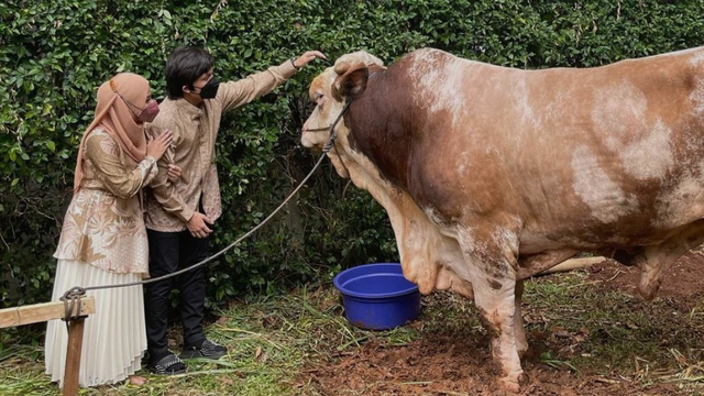 Atta dan Aurel berfoto bersama sapi grandong yang menjadi hewan qurbannya. Foto: Instagram/@aurelie.hermansyah