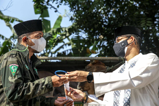 Sandiaga Bagikan 1.000 Hewan Kurban ke 17 Provinsi (6442)