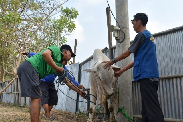 Belajar dari (Ber)Kurban (362000)