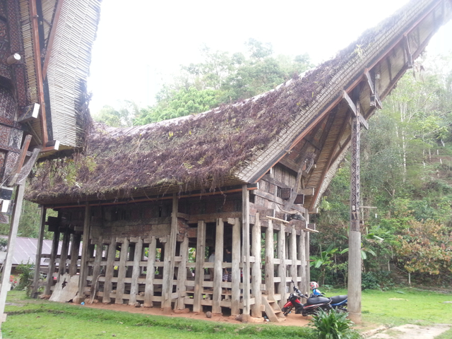 Rumah Adat Sulawesi Selatan: Tongkonan Si Hunian Khas Kebanggaan (55459)