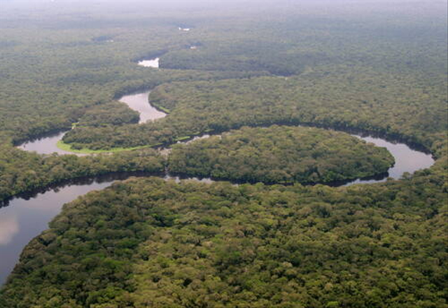 Salonga National Park (Democratic Republic of the Congo), Sumber: UNESCO/© Kim S. Gjerstad. whc.unesco.org