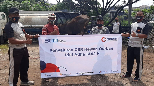 Penyaluran CSR hewan qurban Idul Adha 1442 H dari MIND ID. Foto: Dok. Istimewa