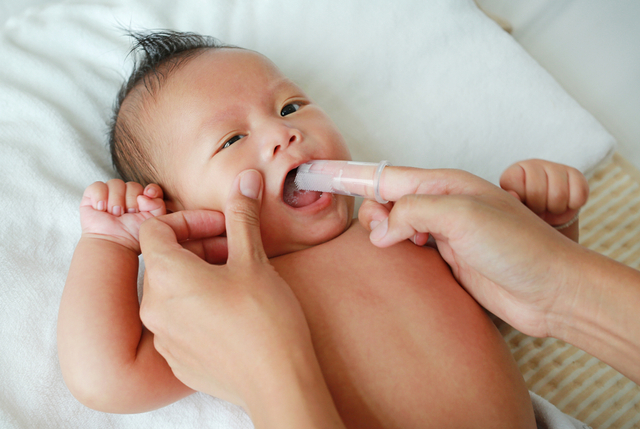 Ilustrasi menyikat gigi bayi. Foto: Shutter Stock
