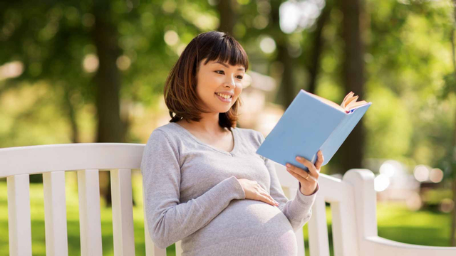 Ilustrasi ibu hamil membaca buku. Foto: Shutter Stock