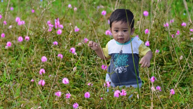 Ilustrasi anak bermain di taman bunga. Foto: Shutter Stock