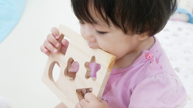 Ilustrasi anak balita menggigit mainan. Foto: Shutter Stock