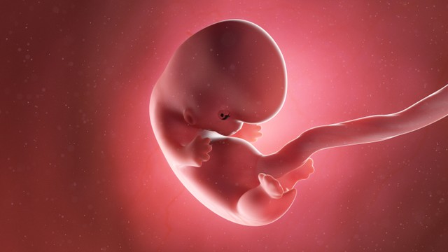 Kamus Kehamilan: Korion, Apa Maksudnya? Foto: Shutterstock.