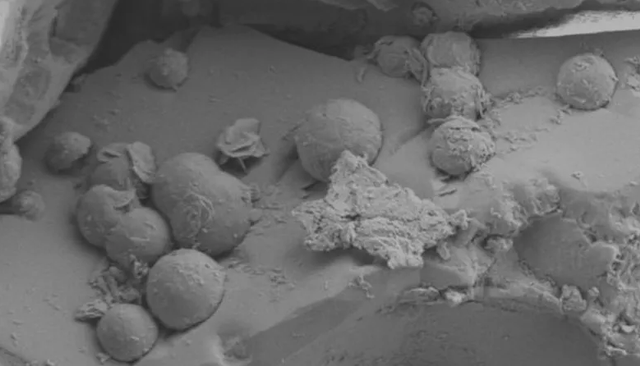 Dikira Batu Biasa, Ternyata Serpihan Meteorit Berusia 4,6 Miliar Tahun (17287)