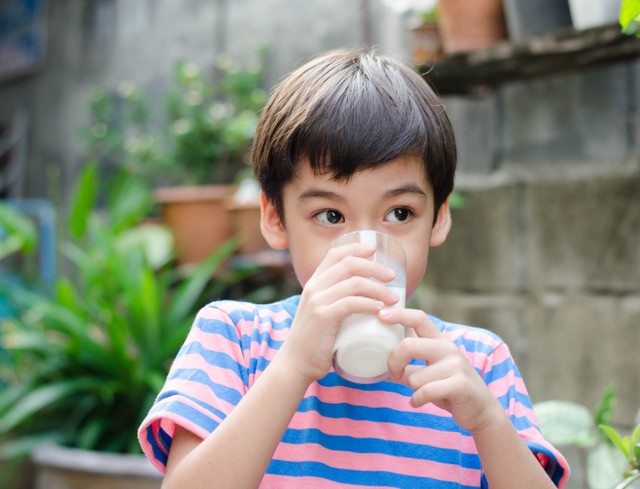 Ilustrasi anak minum susu.
 Foto: Shutterstock