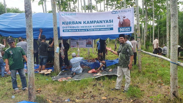 Muslim Turki Salur 90 Sapi Kurban ke Aceh, Sejarawan: Hubungan Kuat Sejak Dulu (423795)