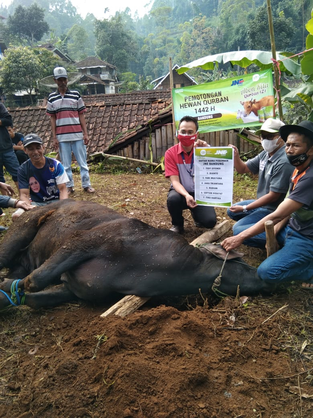 JNE Bandung - IZI Distribusikan Daging Qurban untuk Generasi Penghafal Quran (356514)