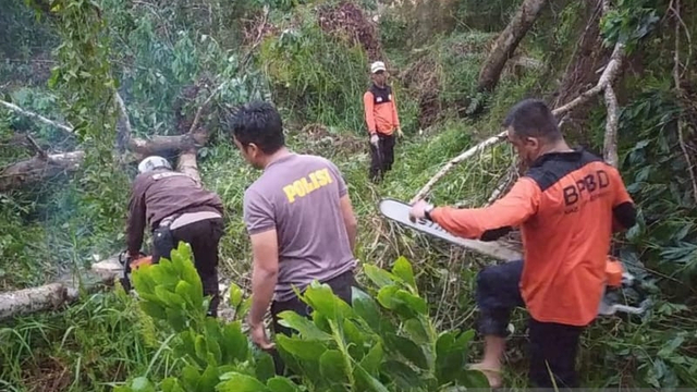 Petugas membersihkan pohon yang tumbang akibat badai di Meranti, Riau. Foto: Antara