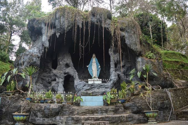 Kota Kelahiranku (1178217)