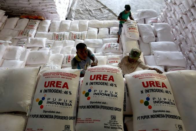 Petani di Kotawaringin Barat Keluhkan Harga Pupuk di Atas HET (731)