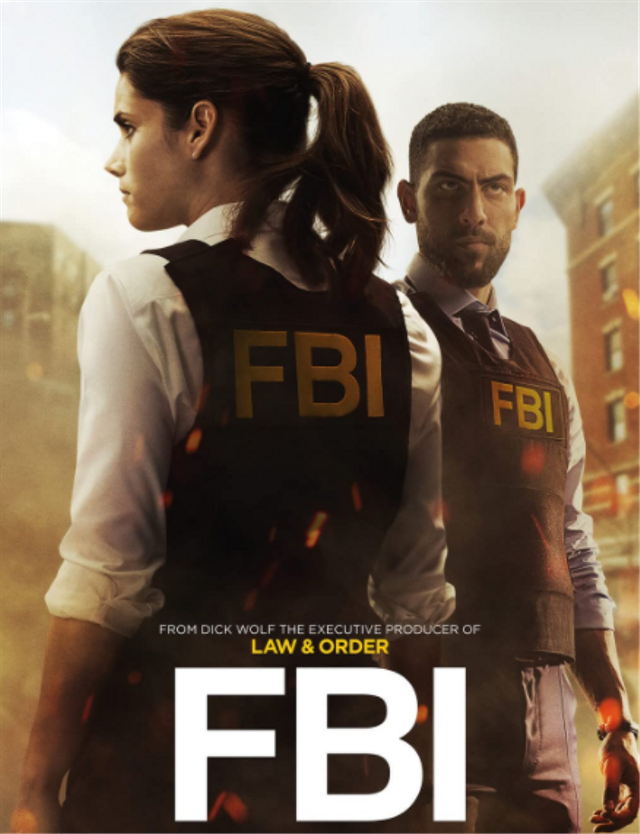 Serial FBI. Foto: IMDb