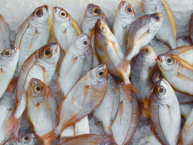 Ilustrasi Manfaat Ikan dan Daging Produk Setengah Jadi untuk Kebutuhan Sehari-hari. sumber: pexels.com