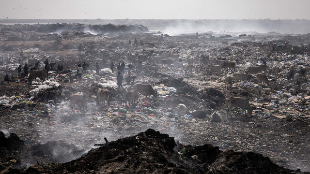 Foto: Bahaya Lingkungan dari Aktivitas di Pemulung Sampah di Senegal (166824)