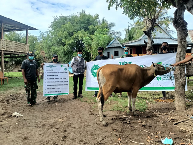 5000 Warga Telah Merasakan Manfaat Kurban Melalui THK Dompet Dhuafa Sulsel 2021 (401051)