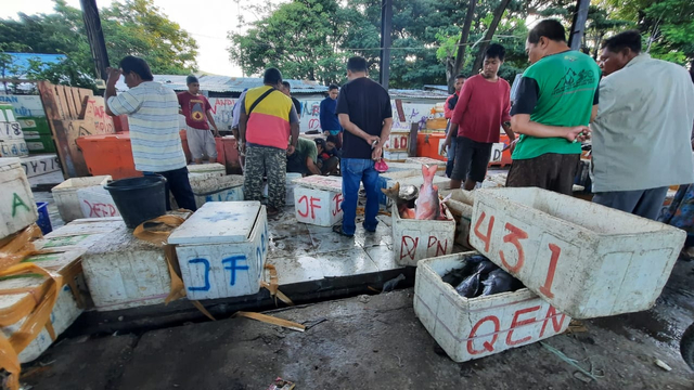 Nelayan menyiapkan ikan untuk dijual di tempat pelelangan ikan kompleks Tanjung, Kelurahan Karaton, Kecamatan Luwuk, Kabupaten Banggai, Sulteng. [Foto: Alisan/PaluPoso]