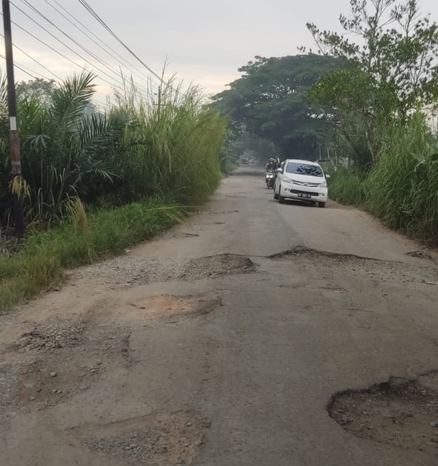 Kondisi Jalan Rasau Jaya rusak parah. Foto: Dok. Istimewa