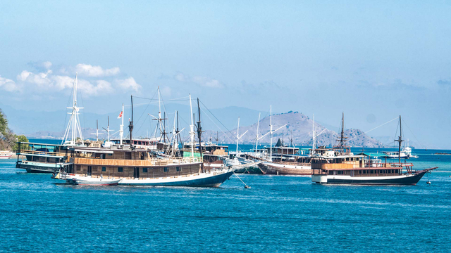 Sejumlah kapal wisata pinisi lego jangkar di Dermaga Labuan Bajo, Manggarai Barat, Nusa Tenggara Timur, Jumat (30/7/2021). Foto: Muhammad Adimaja/ANTARA FOTO