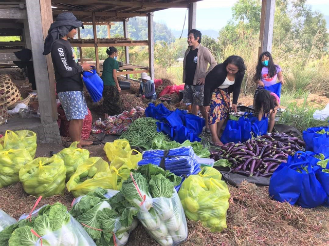 Penyiapan sayuran untuk dibagikan secara gartis pada warga di perkotaan - IST