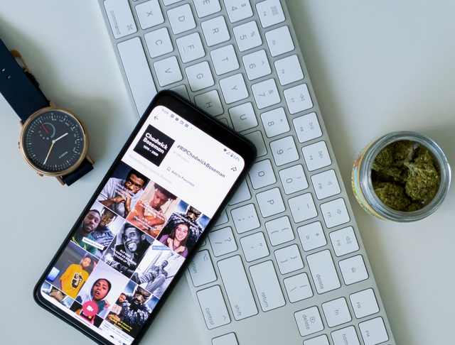 Cara Download Video Tiktok yang Diprivasi Tanpa Aplikasi Tambahan (20362)