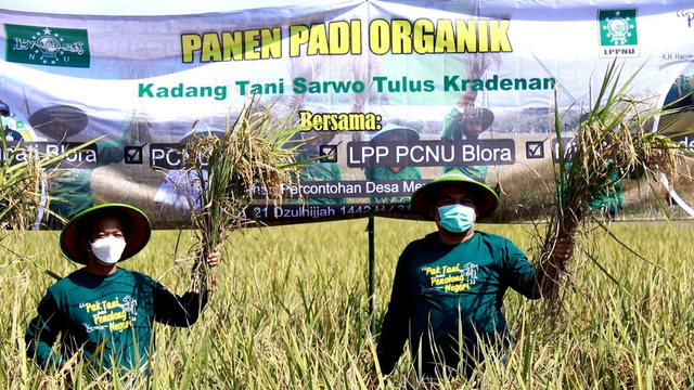 Bupati Dorong Petani Blora Beralih Tanam Padi Organik (977069)