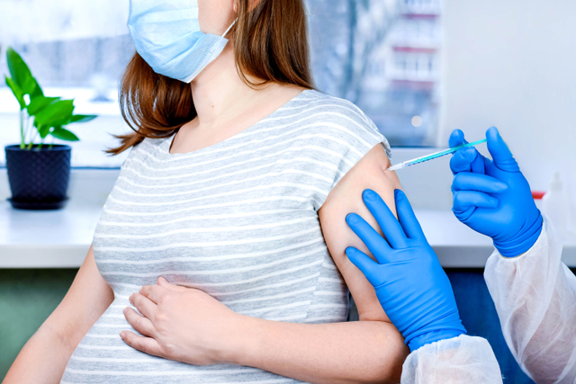 Ilustrasi vaksin ibu hamil. Foto: Shutter Stock