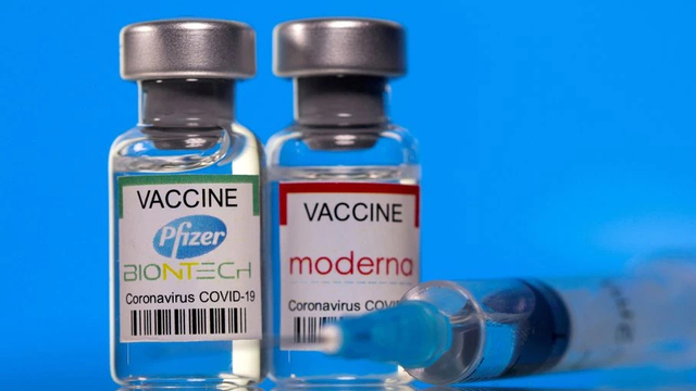 Vaksin Pfizer dan Moderna. Foto: Dado Ruvic/REUTERS