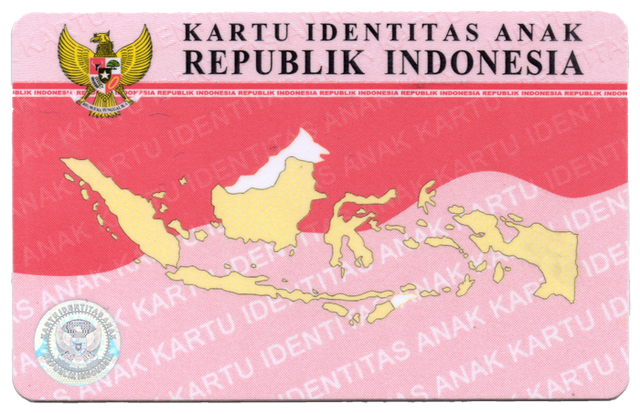 Cara Membuat Kartu Identitas Anak, Ini Langkah Lengkapnya! | Kumparan.com